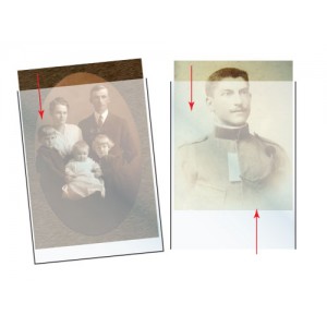 Family History Individual Pocket Sleeves