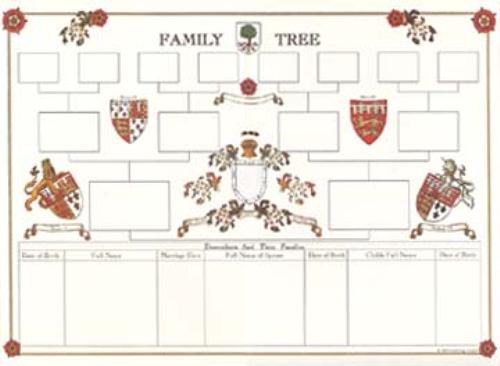 Blank A3 Family Tree Chart (Folded)