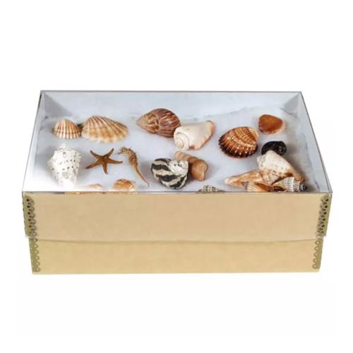 Clear Lid Collectable Acid Free Storage Box 15x11x4"