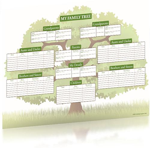Colour 'The Family Oak' A2 Tree Chart, Family Historian