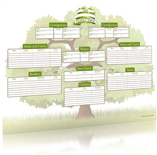Colour 'The Family Oak' A3 Tree Chart, Family Historian