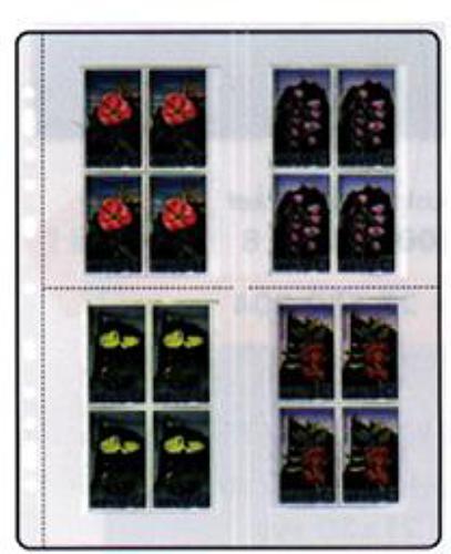 Compact-Clear Refill 90x122mm(8) (Pack of 10)