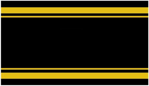 Black & Gold Self-Adhesive Album Spine Label - Blank