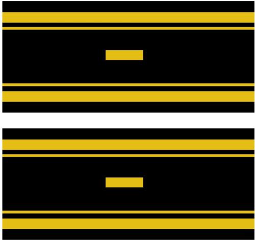 Black & Gold Self-Adhesive Album Spine Label - Base Label for Date Stickers
